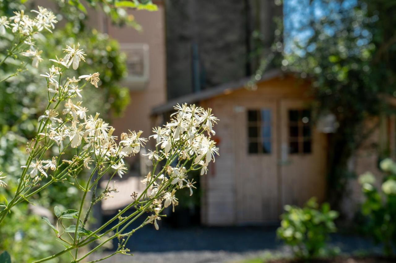 B&B La Chicca Brenzone sul Garda Exterior foto
